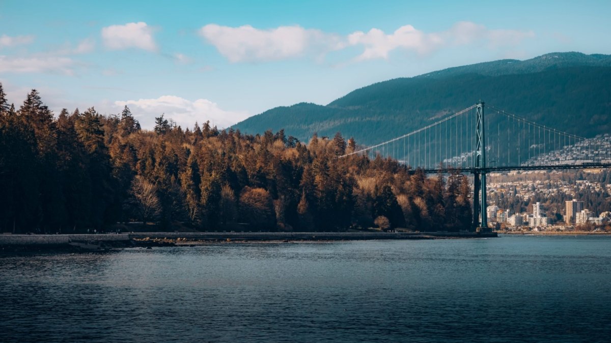 pexels-visualsbyrk04-11455843