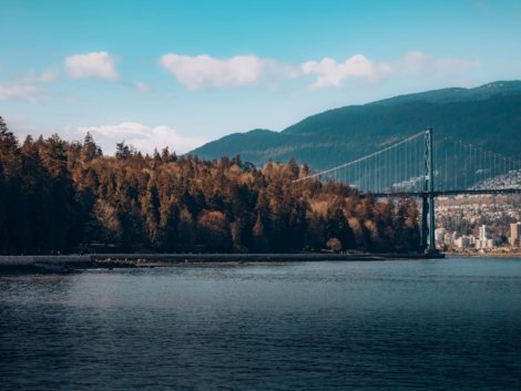 pexels-visualsbyrk04-11455843
